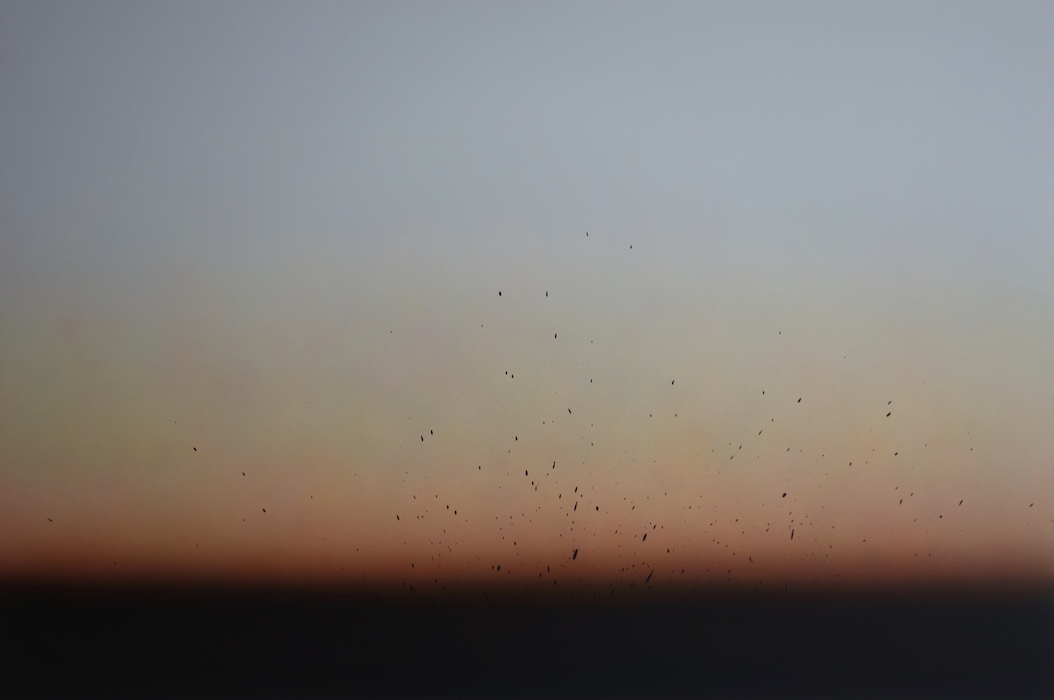 Dynamique 10, acrylique sur toile, 130 x 195 cm, 2025