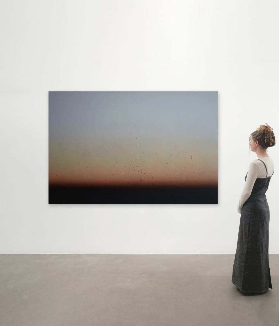 Galerie Maubert - A perte de vue - commissariat Audrey Illouz, 2025